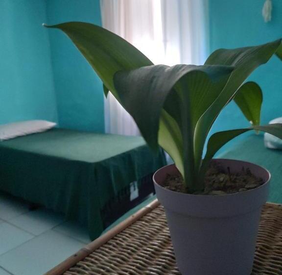 Raizes Surf And Bar Hostel