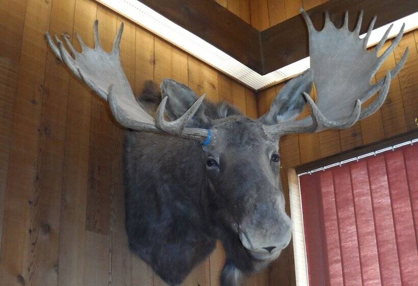 Bear Lodge Motel