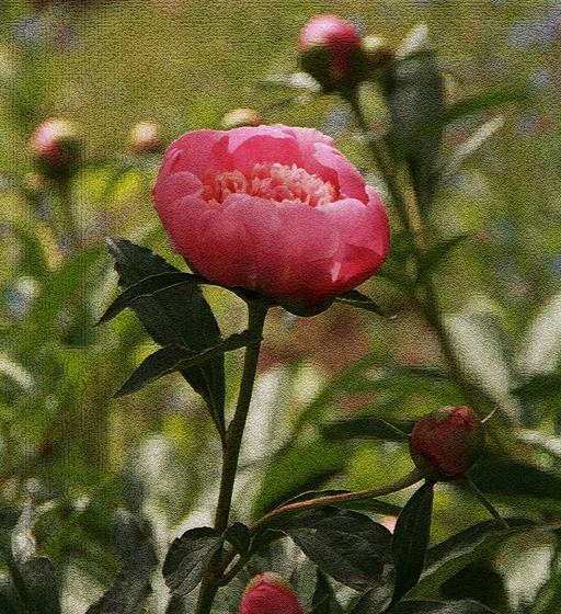 هتل The Ellwanger Estate