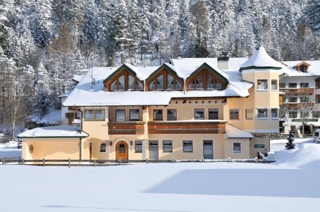 酒店 Tonis Appartements Am Achensee