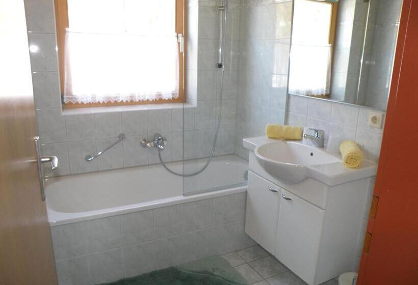 酒店 Tonis Appartements Am Achensee