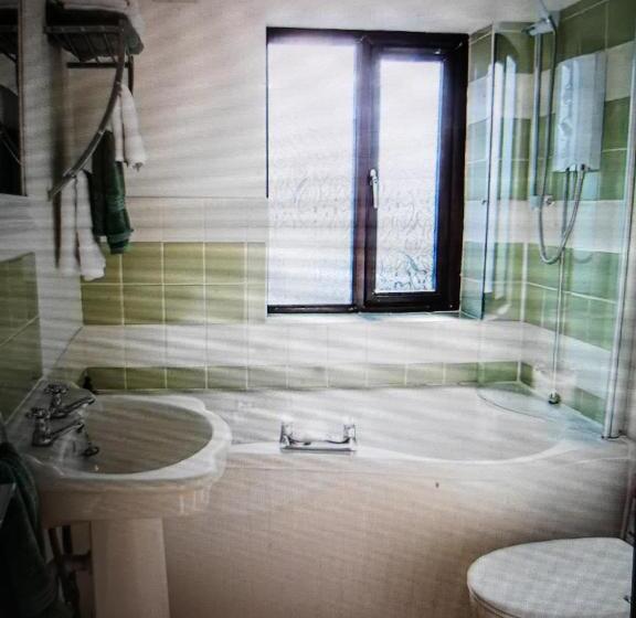 مبيت وإفطار Drainllwyn