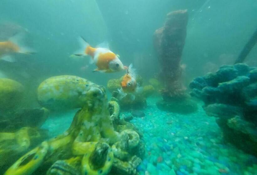 هتل Campestre Diamante Real