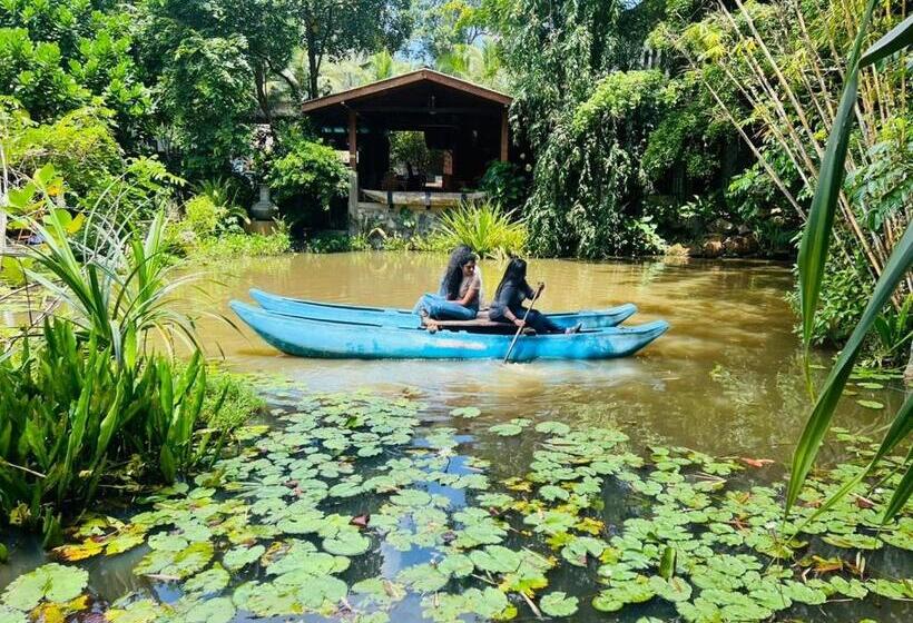 酒店 Radawana Wasala Nature Resort