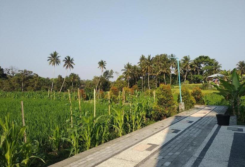 住宿加早餐  D Liwatan Bungalow