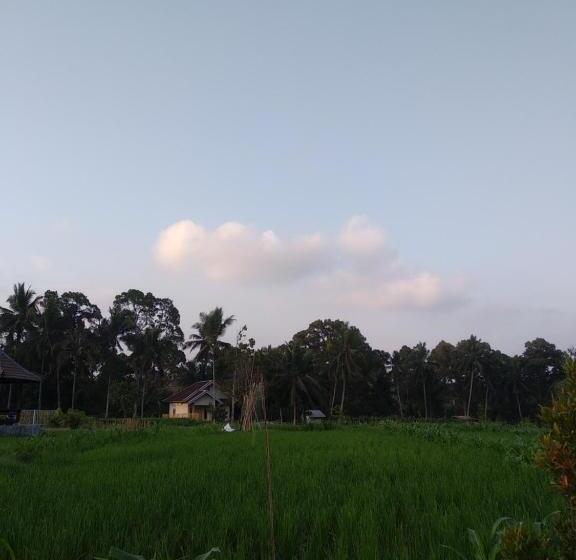 住宿加早餐  D Liwatan Bungalow