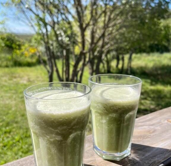 تختخواب و صبحانه El Boho