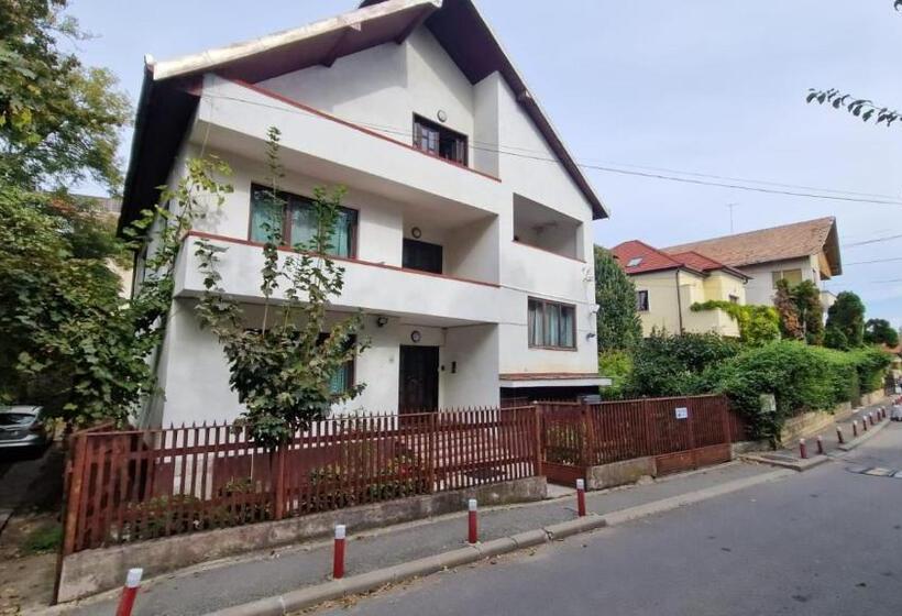 Flava Hostel