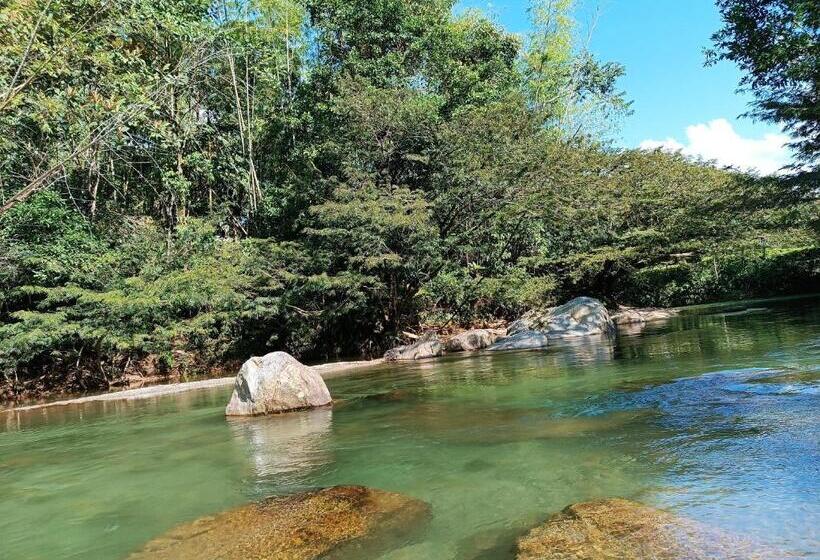 בית מלון כפרי Lemon Ecopark