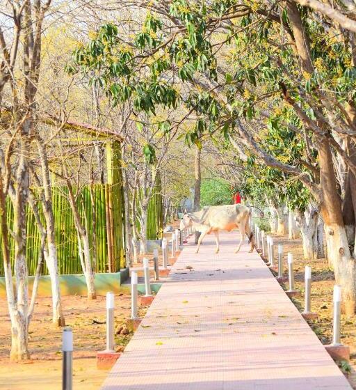 فندق Matoshree Green Stay Sariska