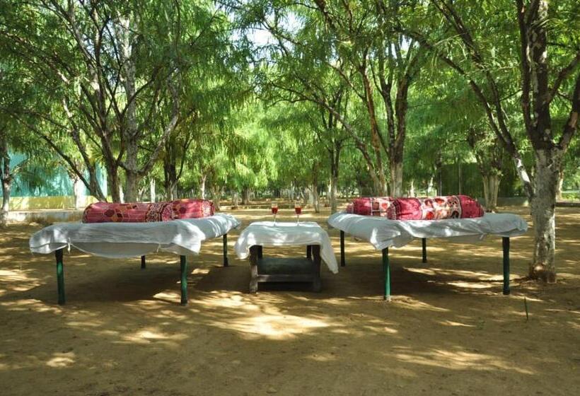 فندق Matoshree Green Stay Sariska