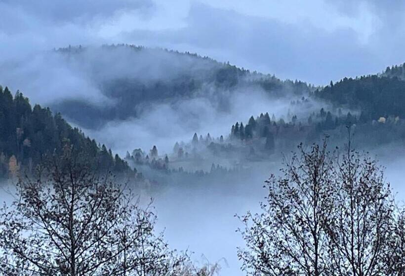 펜션 Maison D Hôtes Chaleureuse En Montagne, Proche De La Bresse Hohneck Et Gérardmer, Idéale Pour Randon