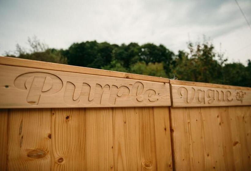 بنسيون Purplevague