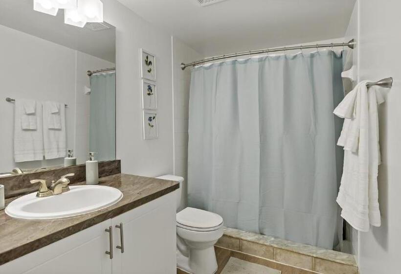 The Voya   Wellington