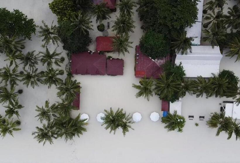 Beach Placid Resort Powered By Cocotel