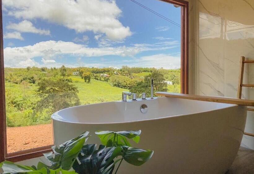 هتل Cirrus Valley Hill Resort