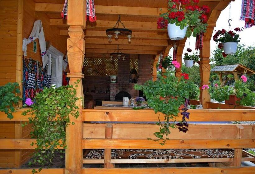 بنسيون Casa Vladicu