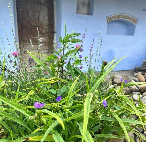 פנסיון Haus Rether   Transylvanian Guesthouse