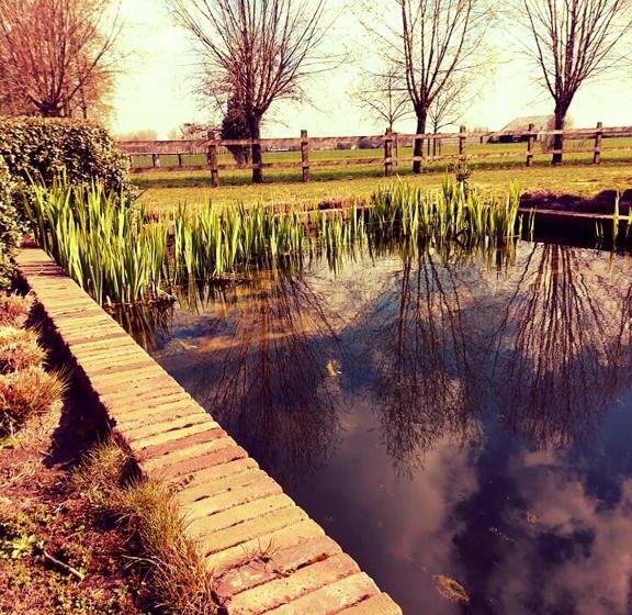 B&b De Geythoek