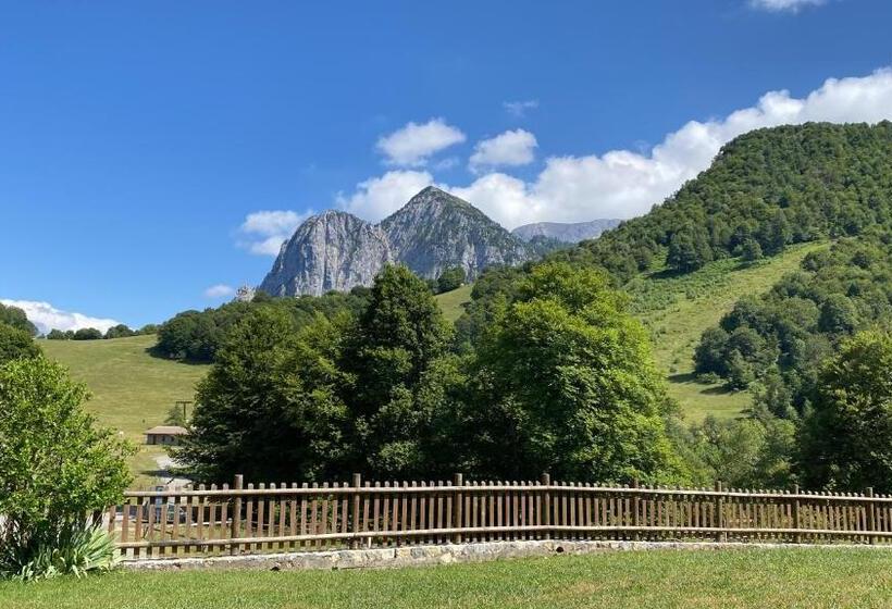 ホテル Albergo Rifugio Cainallo