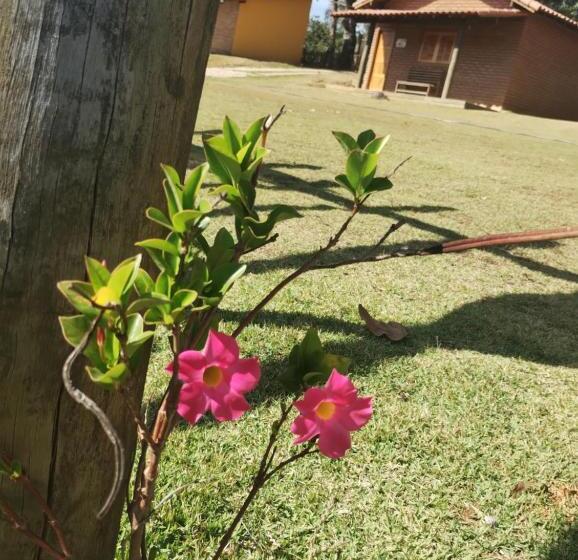 ホテル Pousada Estância Da Mata
