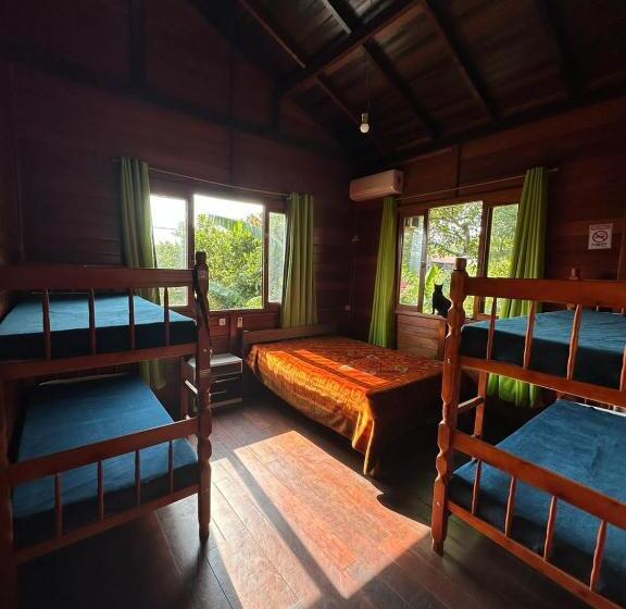 بنسيون Tô Na Guarda Hostel
