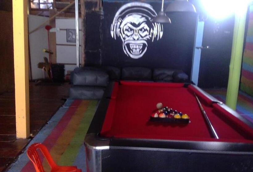 הוסטל Crazy Monkey