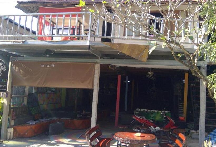 הוסטל Crazy Monkey