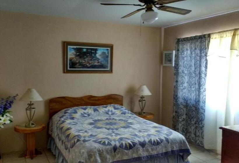 مبيت وإفطار Villa San Bruno