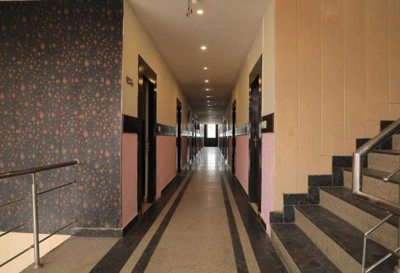 酒店 Collection O 81064 Drive In