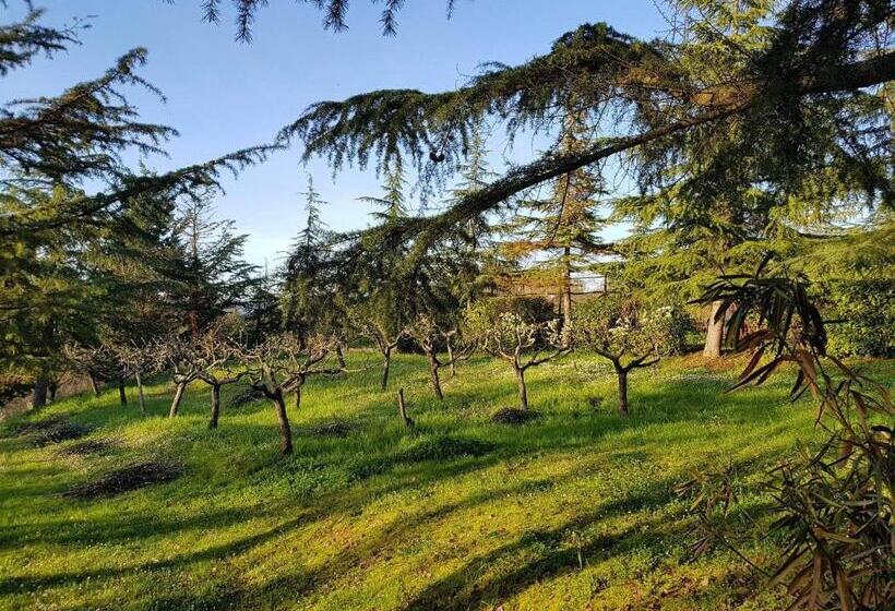 فندق Lavanda Ad Antico Casale  700