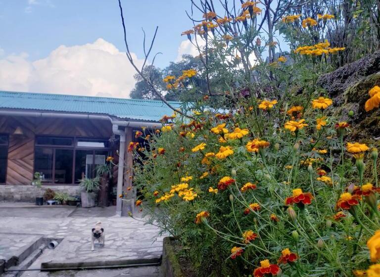فندق The Nettle And Fern Farmstay