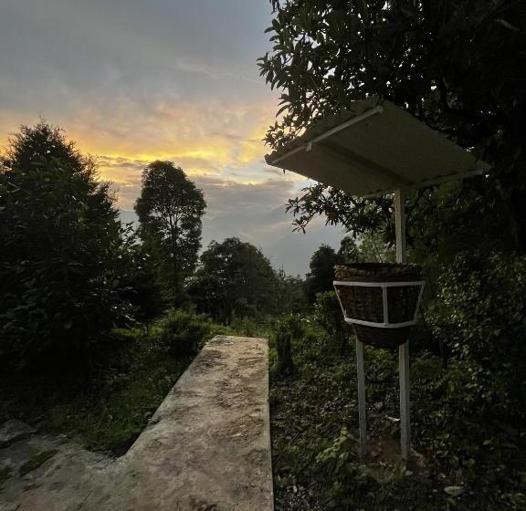 فندق The Nettle And Fern Farmstay