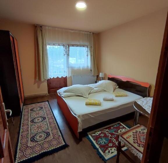 פנסיון Edelweis Floare De Colt