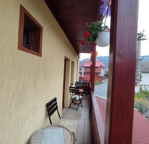 פנסיון Edelweis Floare De Colt