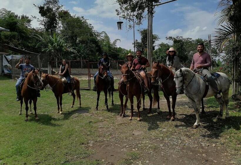 بنسيون El Abuelo