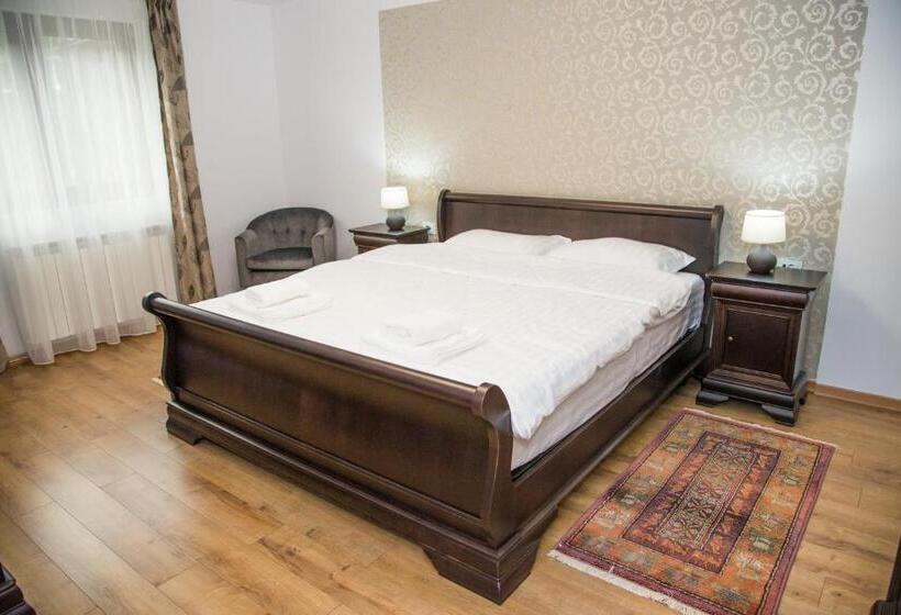 膳宿费 Poiana Transilvaniei