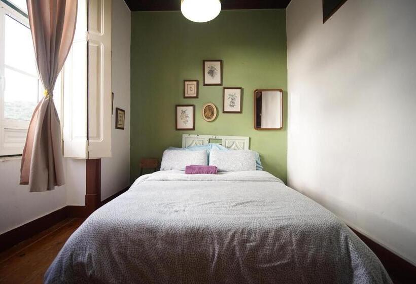 فندق صغير Oliva Guesthouse