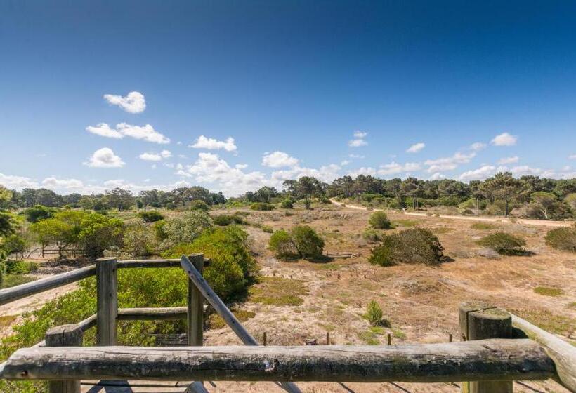 تختخواب و صبحانه Camino Jose Ignacio