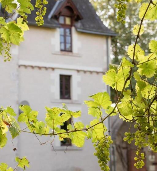 تختخواب و صبحانه Gite Du Meunier, Moulin De Vineuil, 4ch, 2sdb
