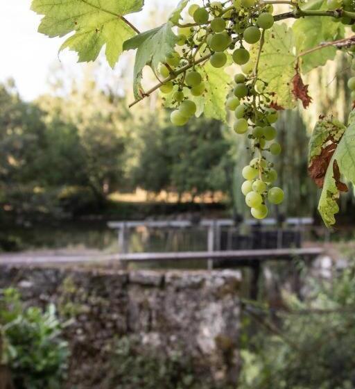 تختخواب و صبحانه Gite Du Meunier, Moulin De Vineuil, 4ch, 2sdb