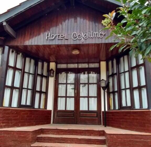 هتل Ceferino