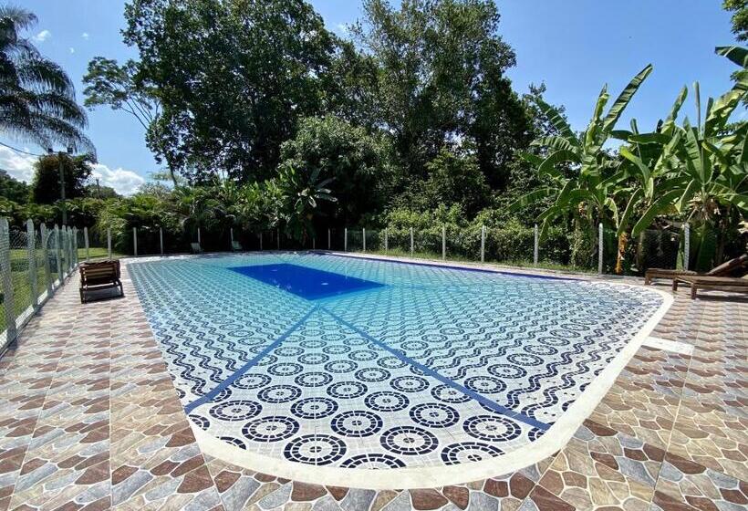 ホテル Hostel Glamping Mistiko Safari   Carmen De Apicala