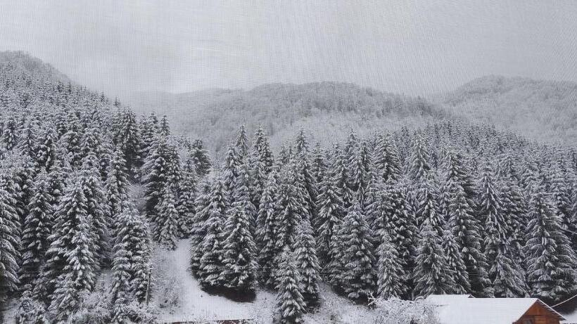 ペンション садиба квітка карпат