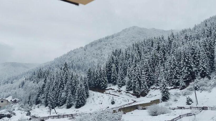 ペンション садиба квітка карпат