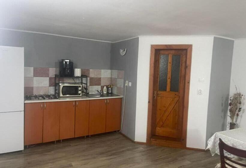 پانسیون Casa Maria Moieciu C