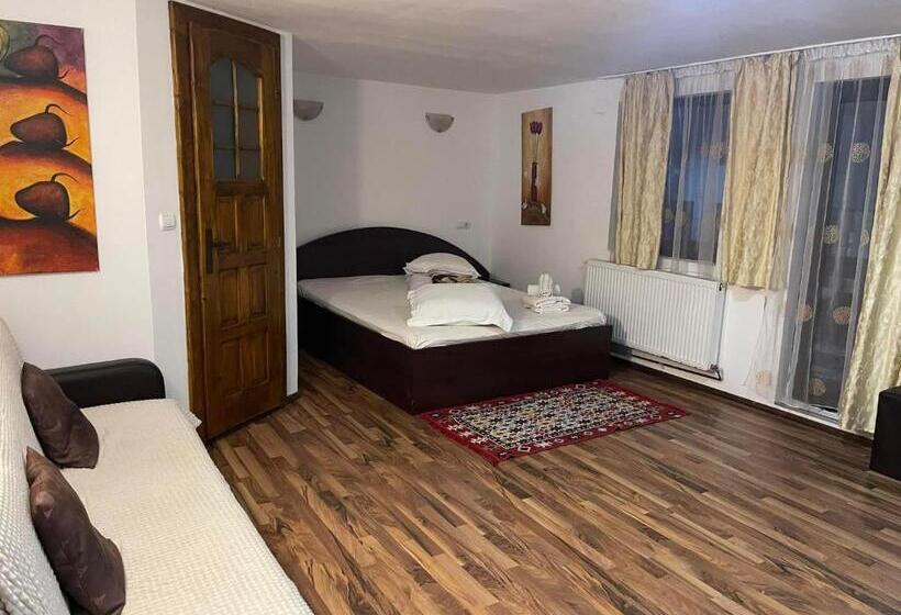 پانسیون Casa Maria Moieciu C