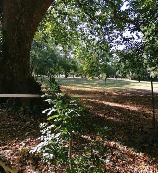 ペンション Maison D Hôtes De La Rivière