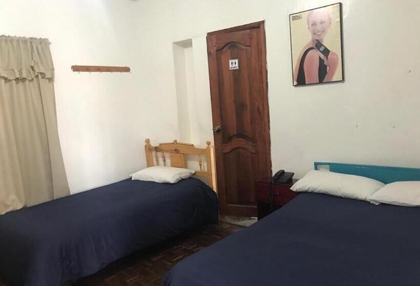 هاستل Hostal Luz Wilson