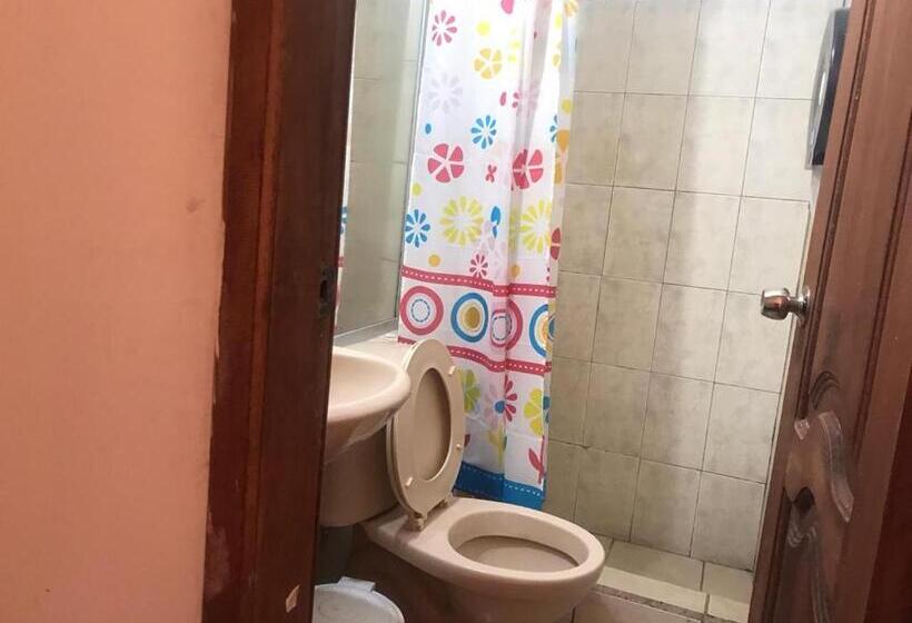 هاستل Hostal Luz Wilson